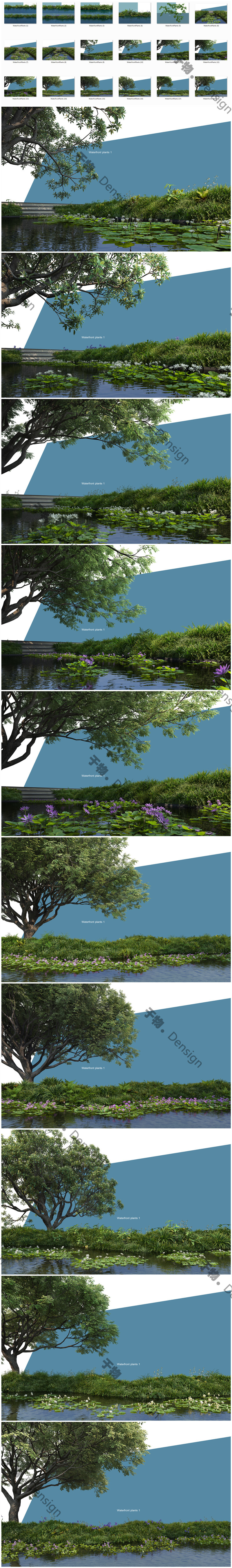 WaterfrontPlants 9