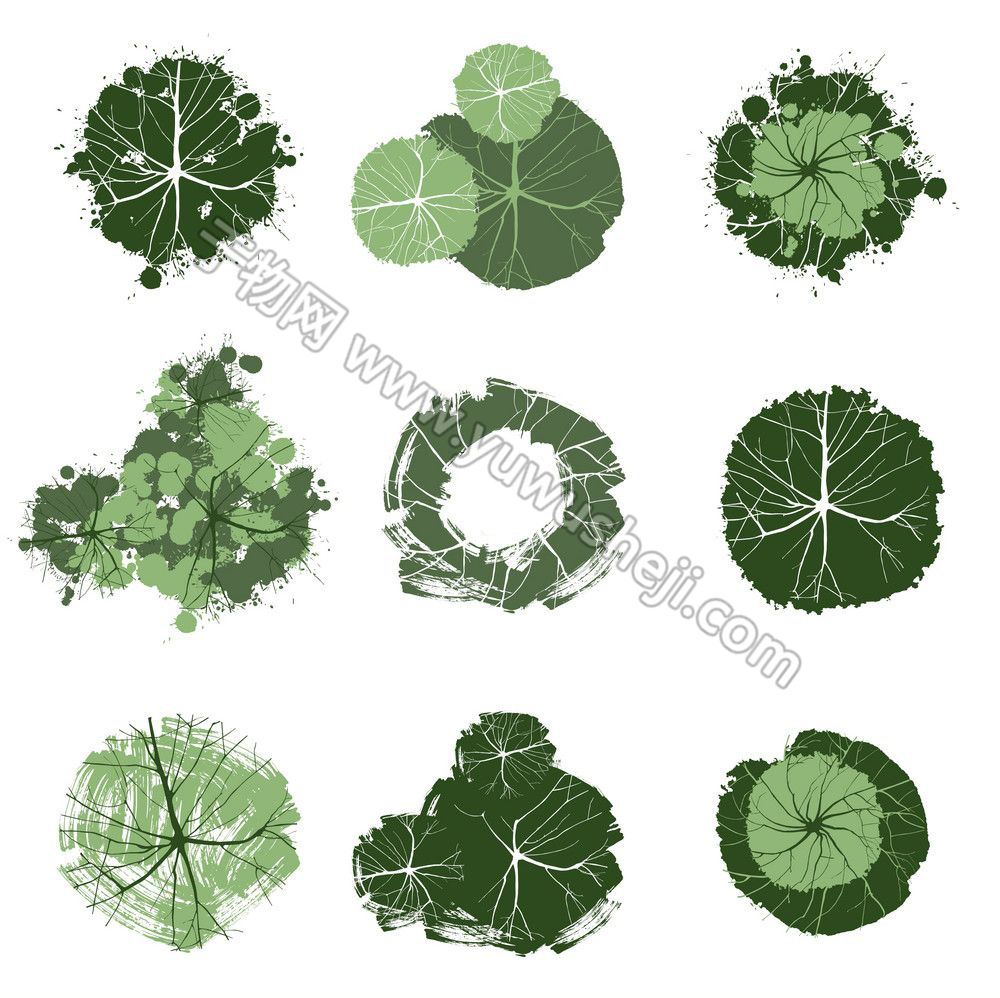 彩色植物平面图 13