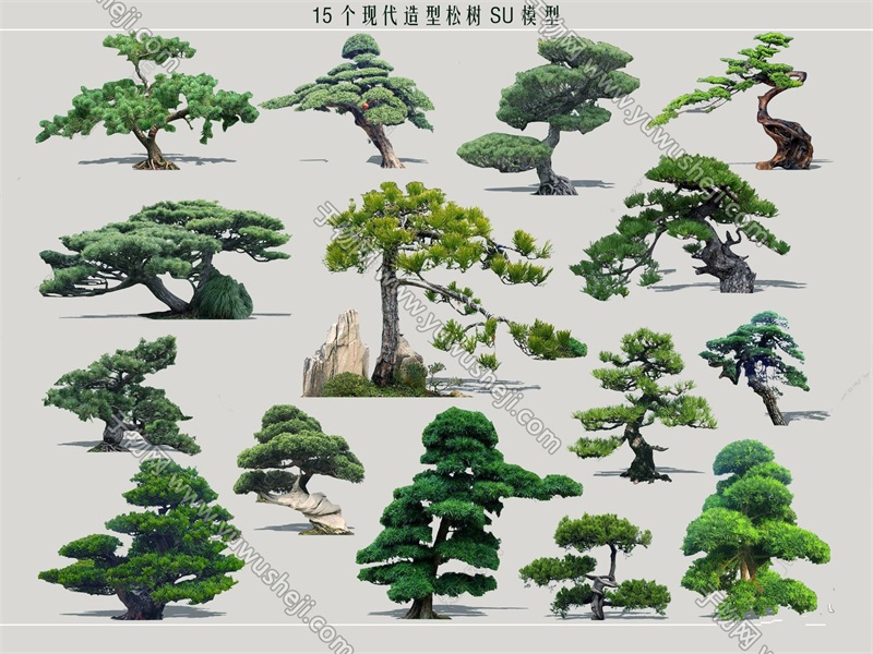 261松树造型松松树SU模型