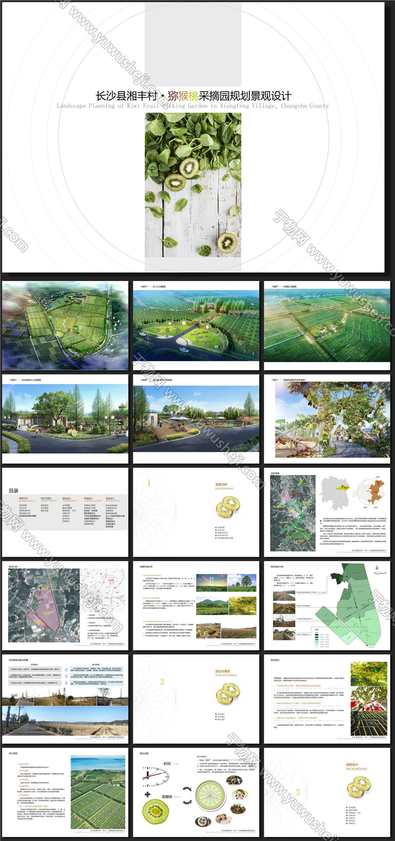 长沙县湘丰村猕猴桃采摘园方案文本ID 11300394791 20